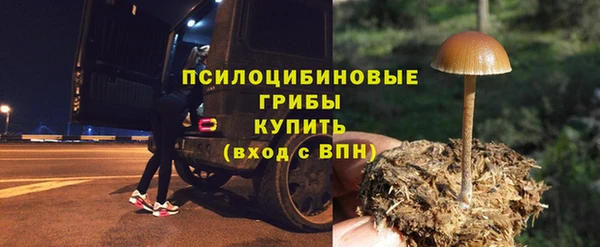 твердый Алексеевка