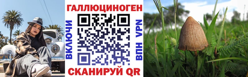 mega ссылка  Сыктывкар  Галлюциногенные грибы Cubensis 